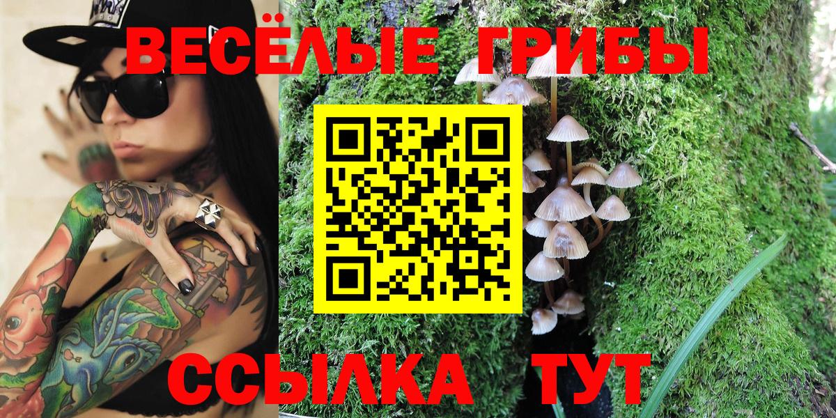 Галлюциногенные грибы ЛСД  Вход с VPN  Ноябрьск 